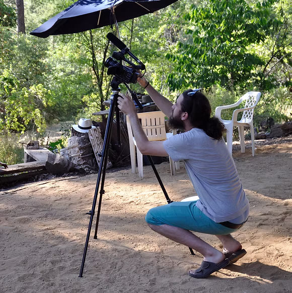 Filming woodpeckers