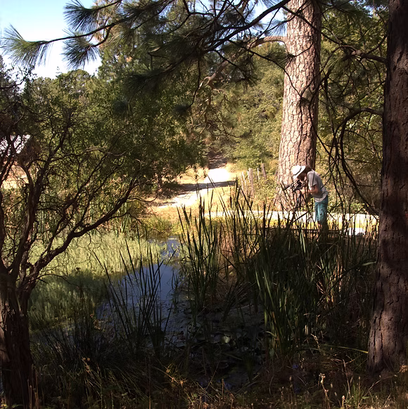 The pond next to the yurt