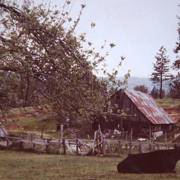 The now 'fallen-down' Barn