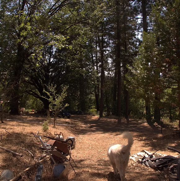 The path away from the Yurt